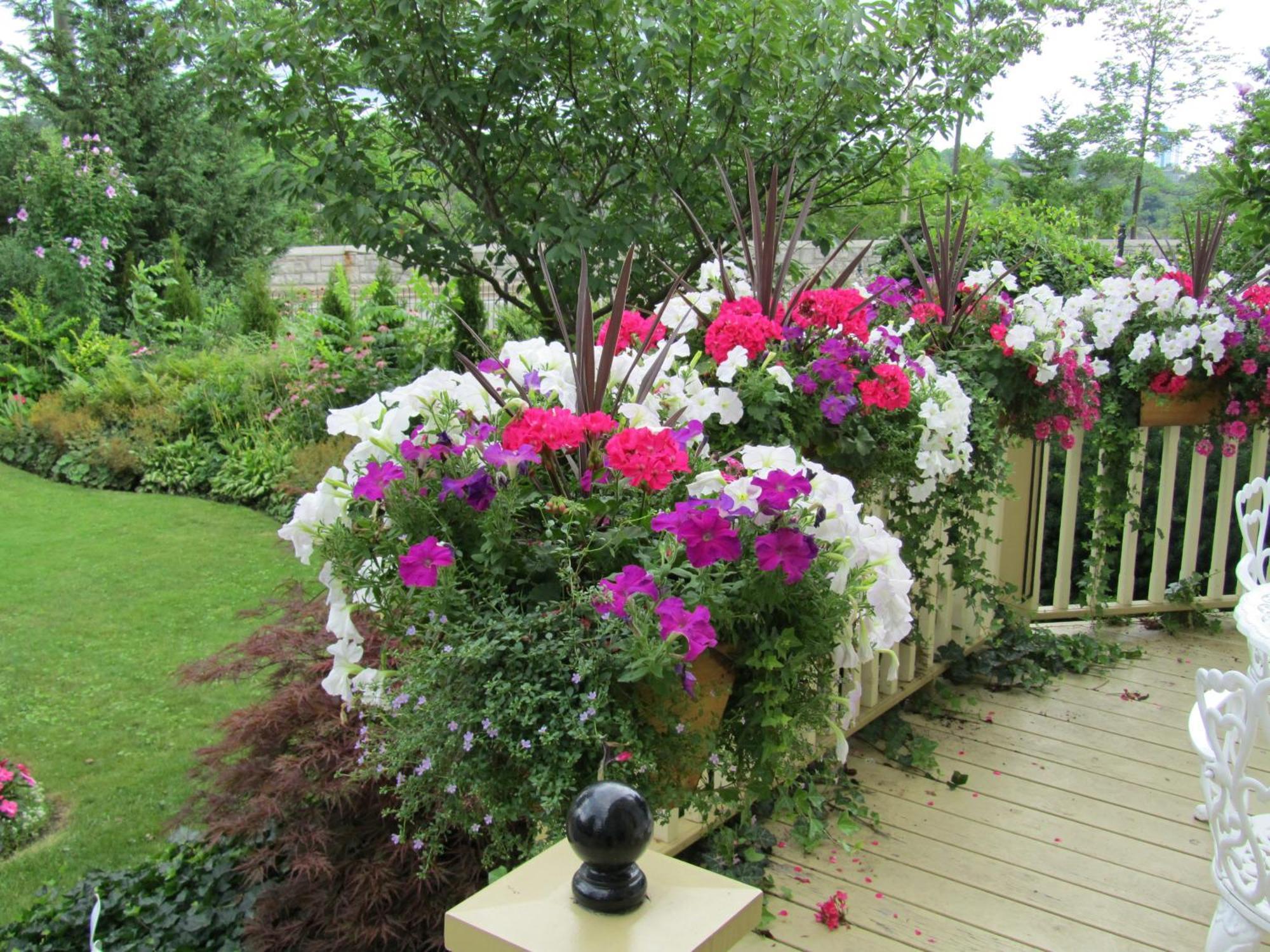 Bedham Hall B&B Niagara Falls Exterior photo