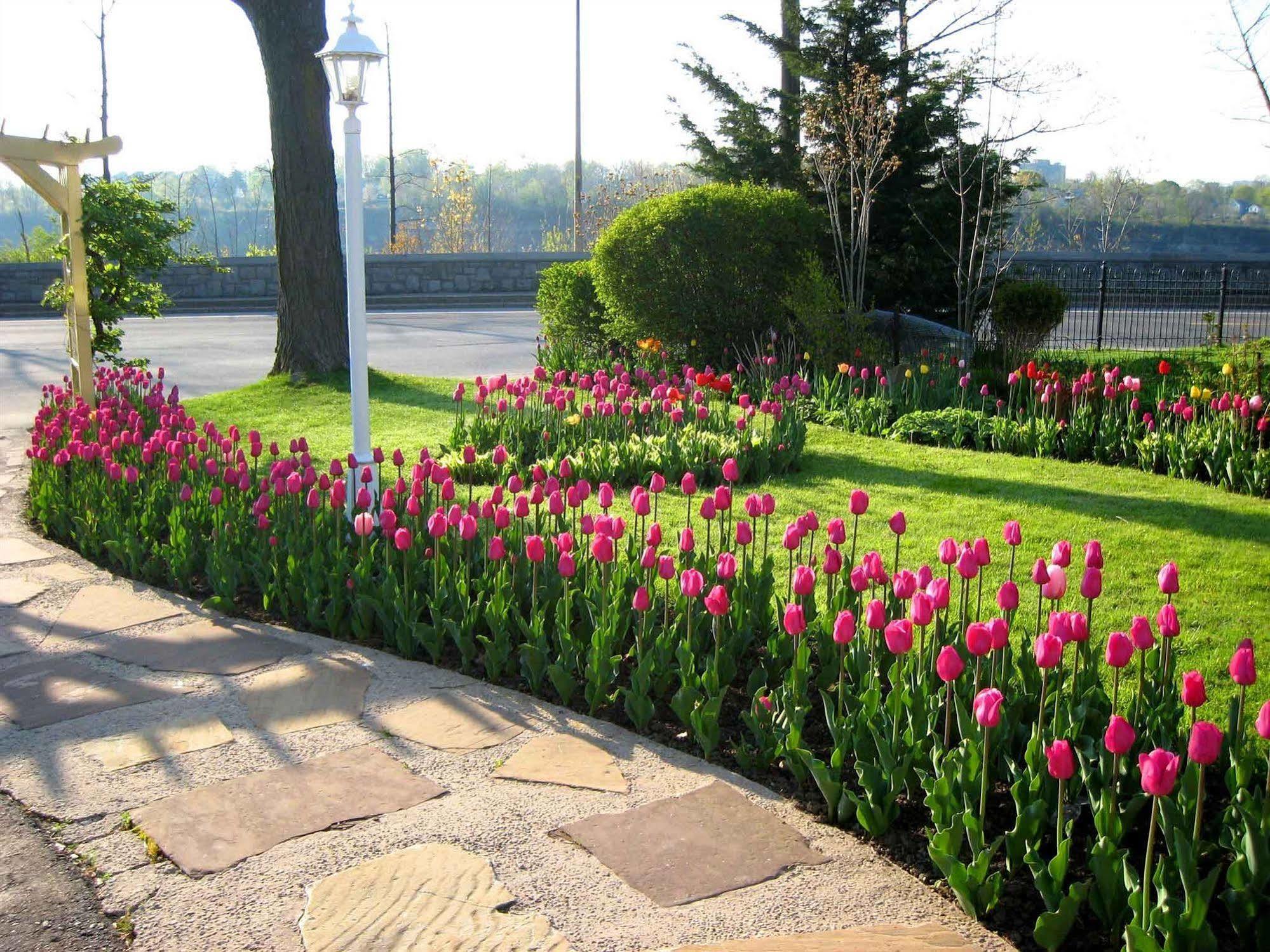 Bedham Hall B&B Niagara Falls Exterior photo